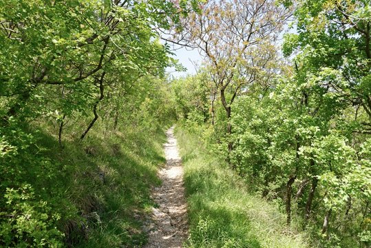 Kroatien - Crikvenica - Burgruine Badanj - Liebespfad