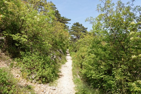 Kroatien - Crikvenica - Burgruine Badanj - Liebespfad