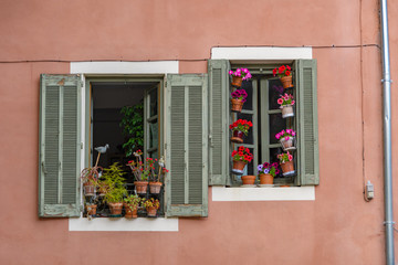 南仏　ニーム　窓辺　鉢植えの花