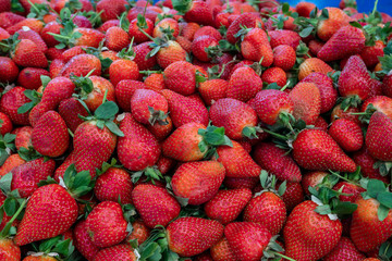 strawberries at the market