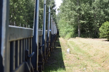 Stary pociąg w lesie © Maciej