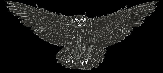 owl in flight isolated on black illustration