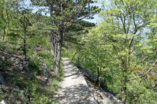 Kroatien - Crikvenica - Burgruine Badanj - Liebespfad