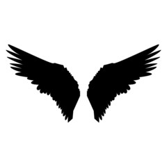 Dark winged angel shadow
