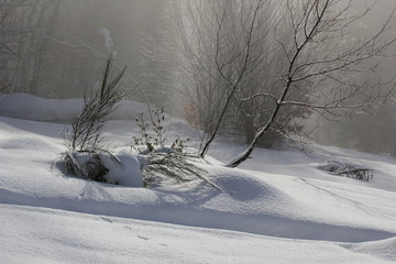 Winter im Schwarzwald_einsamme Stimmung_Nebel