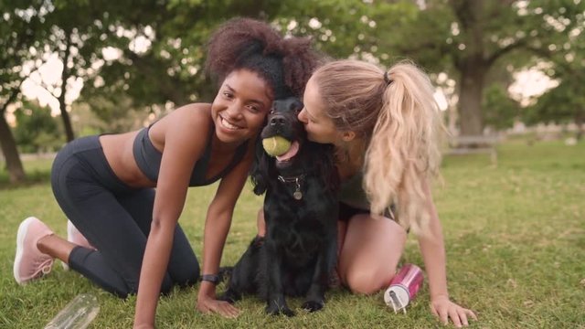Portrait of two diverse fitness female friends stroking and cuddling their black dog with ball in its mouth at park