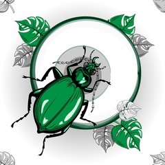 Pattern with a green beetle and monstera leaves