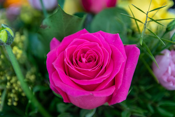 Pinke Rose im Blumenstrauß
