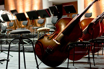 Contrabasses on a stage. String instrument. Violin