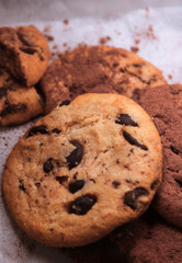 Cookie with chocolate and cocoa powder on paper 