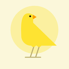 Canary Flat Design Vector Illustration. Vector illustration can be used for web and mobile graphic design, logo, eps10. Domestic canary. Flat vector design for pet store, business poster or flyer