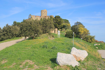 Fototapeta na wymiar The fort Saint Elme in Collioure, France