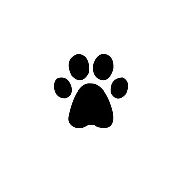 cat trail icon vector - illustration