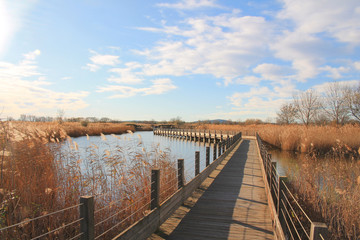 The natural Mejean lagoon, a protected wetland in Montpellier, France