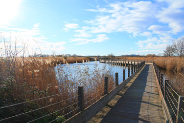 The natural Mejean lagoon, a protected wetland in Montpellier, France