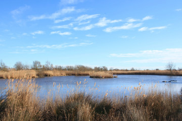 The natural Mejean lagoon, a protected wetland in Montpellier, France