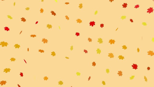 Background of rotating autumn leaves on colored backdrop. Animation. Beautiful multicolored autumn leaves rotating moving on colored background