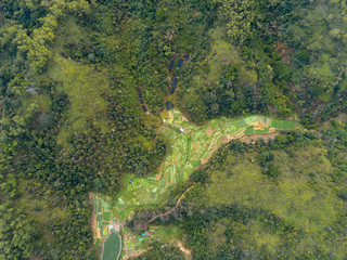 Aerial view of rural scene in spring China