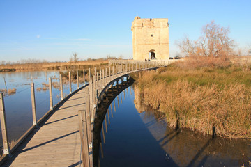 Obraz premium Carbonniere tower in Camargue region, France