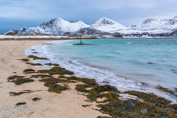 idyllic winter landscape on Sommarøy Archipelago in northern Norway, near Tromsoe