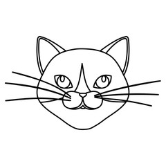 face of cute cat line style icon vector illustration design