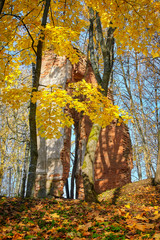 Ruins in the forest surrounded by trees.Old abandoned castle ruins in the forest.