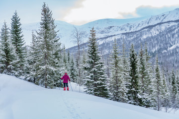 nice senior woman snowshoeing in the arctic landscaoe of northern Norway near the city of Tromso