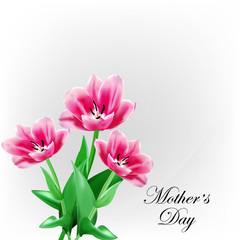 Happy Mothers Day lettering. Mothers day greeting card with Blooming Tulip Flowers. Vector illustration EPS10
