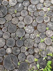 Abstract wooden texture in autumn dark colors.