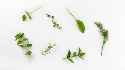 Variety fresh edible herbs on white background. Top view, flatlay, close-up.