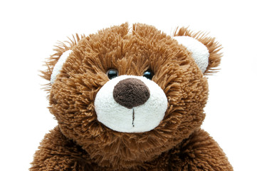 Cute brown bear. The toy is soft. Plush. Muzzle. Ears of paws and head. On white background