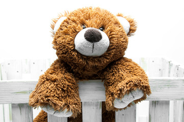 Cute brown bear. White wooden fence. Plush. Muzzle. Ears and head