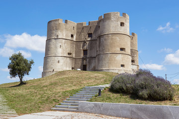 Fototapeta na wymiar Evora Monte Castle in Portugal