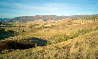 Incredible red and gold clay mounds in a park with vegetation hills trees and a beautiful blue and white sky on the Red Scar Knoll/Red Hill Trail at the John Day Fossil Beds in Oregon