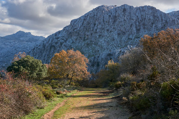 Hiking areas in the mountains of Malaga. Andalusia, Spain