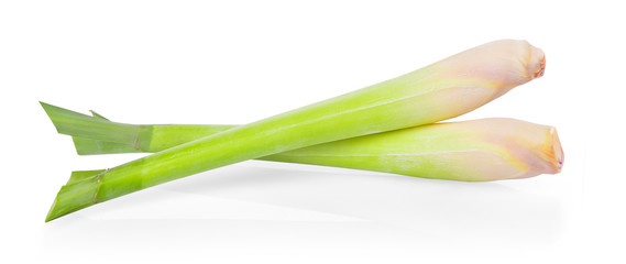 Lemon grass on white background