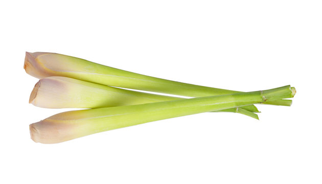 Lemon grass on white background