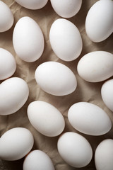 Chicken eggs view
