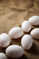 Chicken eggs view