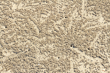 Crab's holes at the sand. Koh Chang, Thailand