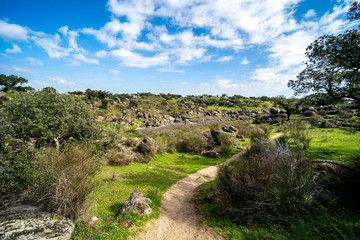 Camino de senderismo en plena naturaleza