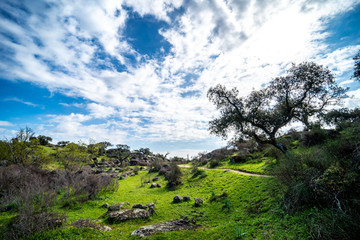 Fototapeta na wymiar Paisaje con árboles, nubes, sol en un entorno natural