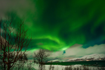 polar lights on Kvaloeya island near Tromsoe, northern Norway, landscapephotography