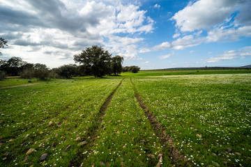 Bello paisaje de naturaleza sin gente