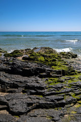 Fototapeta na wymiar Mit flechten bewachsene Felsen am Meer
