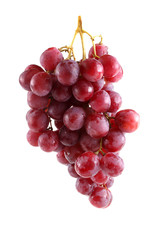Growing pink grape