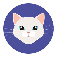 face of cat white in frame circular vector illustration design