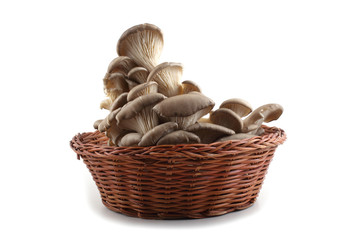 Oyster mushrooms on wicker plate