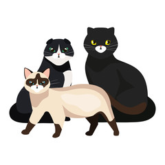 group of cute cats isolated icons vector illustration design