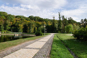 pedestrian road among the trees